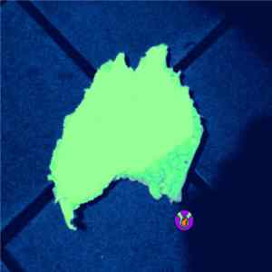 Hands On Heart - Majority FLAC album