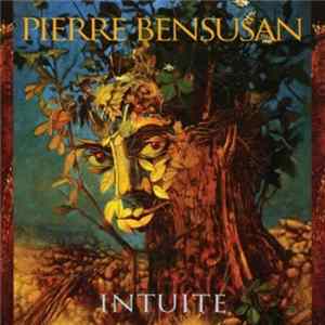 Pierre Bensusan - Intuite FLAC album