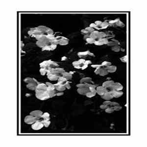 Sadhe - Walk In Regret FLAC album