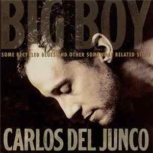 Carlos Del Junco - Big Boy - Some Recycled Blues And Other Somewhat Related Stuff FLAC album