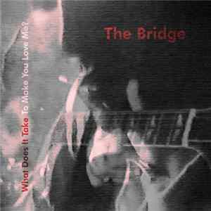 The Bridge - What Does It Take To Make You Love Me? FLAC album