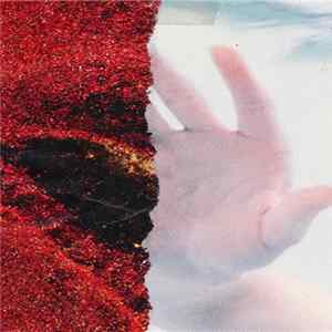 False Moniker - Vast Oceanic Distance FLAC album