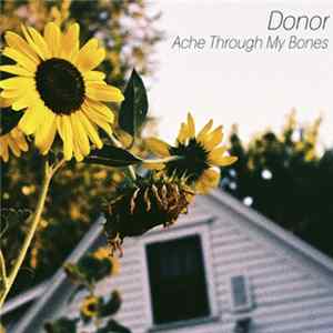 Donor - Ache Through My Bones FLAC album
