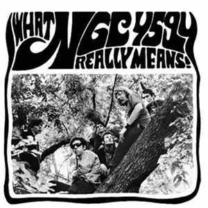 NGC-4594 - What Really Means! FLAC album