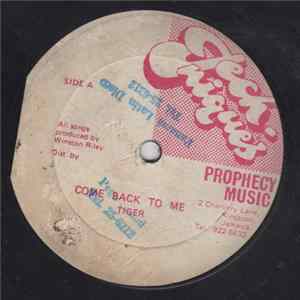 Tiger - Come Back To Me FLAC album
