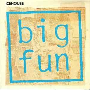 Icehouse - Big Fun FLAC album
