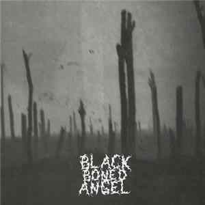 Black Boned Angel - Verdun FLAC album