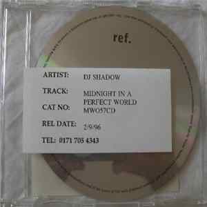 DJ Shadow - Midnight In A Perfect World FLAC album