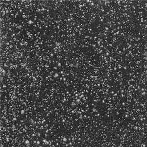 Potensia - Kindred Strata FLAC album