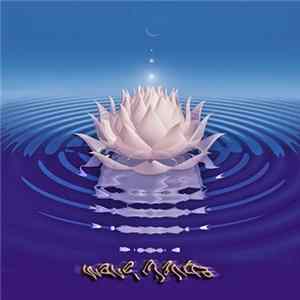 Sean Washburn - Wave Mantra FLAC album