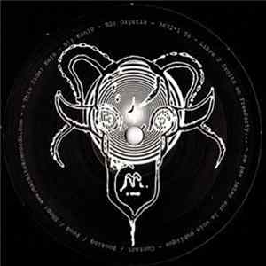Various - 3672*1 040404 FLAC album
