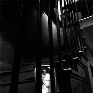 Double Echo - Ancient Youth FLAC album