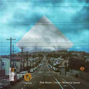 Matt Bloom - Visitor | Brewing Leaves FLAC album