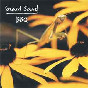 Giant Sand - Backyard Barbecue Broadcast FLAC album
