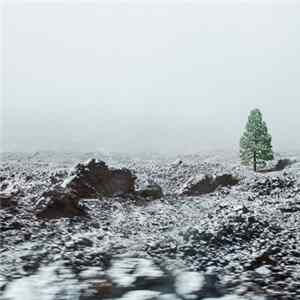 Nearr - Pale Youth FLAC album