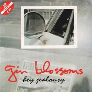Gin Blossoms - Hey Jealousy FLAC album