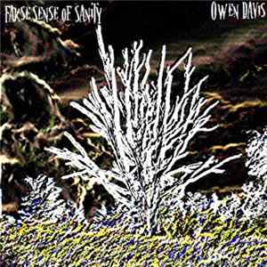 False Sense Of Sanity / Owen Davis - Split FLAC album
