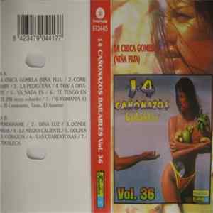 Various - 14 Cañonazos Bailables Vol. 36 FLAC album