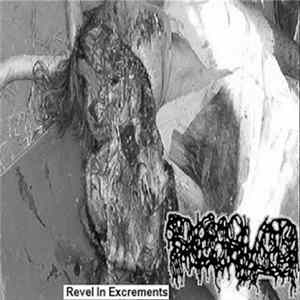 Dissolved - Revel In Excrements FLAC album