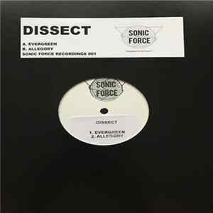 Dissect - Evergreen / Allegory FLAC album