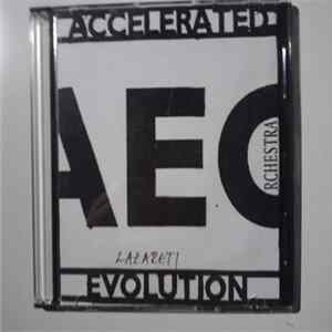 Accelerated Evolution Orchestra - Live In Lazareti, Dubrovnik 01. 09. 2005. FLAC album