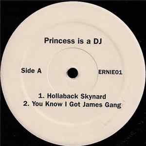 Princess Is A DJ - Untitled FLAC album