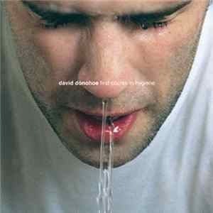 David Donohoe - First Course In Hygiene FLAC album