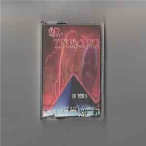 Mr. Tinimaine - 19 Tini 5 FLAC album