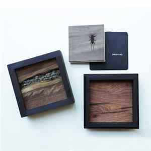 Scot Jenerik - Soundtrack For The Dead: Mayflies Falling Wounded Where Echoes Were Wailing Destruction FLAC album