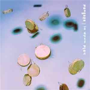 Pangaea - In Drum Play FLAC album