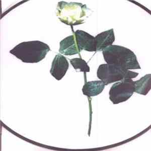 Robin S. - Show Me Love (2002 Remixes) FLAC album