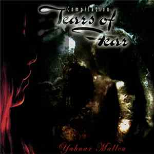 Various - Compilation Tears Of Fear FLAC album