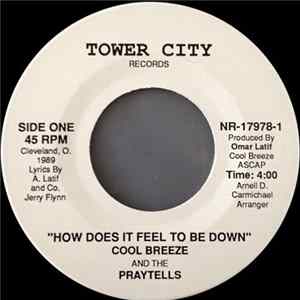 Cool Breeze And The Praytells - How Does It Feel To Be Down / We Get Ill FLAC album