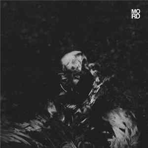 Endlec - New Age Dystopia EP FLAC album