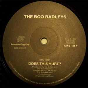 The Boo Radleys - Does This Hurt? FLAC album