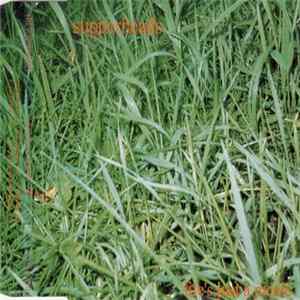 Supperheads - Life's Just A Picnic FLAC album