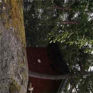 Mountains - Mountains FLAC album