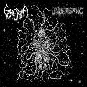 Undergang , Gorephilia - Split EP FLAC album
