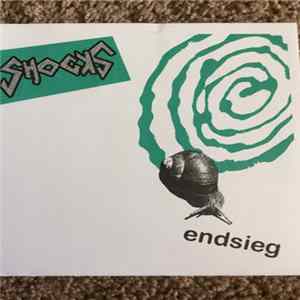 The Shocks - Endsieg / Just Another Unit FLAC album