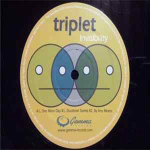 Triplet - Invisibility FLAC album