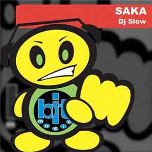 D.J. Slow - Saka FLAC album