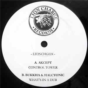 Akcept / Bukkha & Halcyonic - Control Tower / What's In A Dub FLAC album