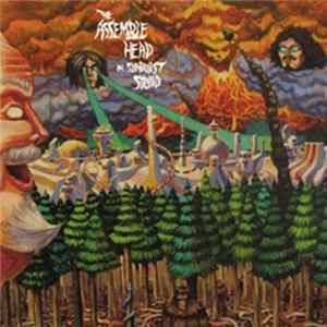 Assemble Head In Sunburst Sound - Ekranoplan FLAC album