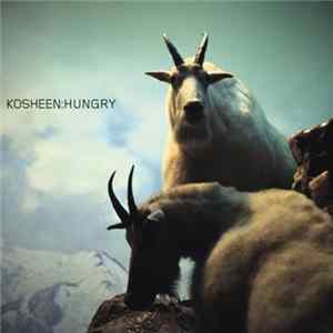 Kosheen - Hungry (Zed Bias Instrumental) FLAC album
