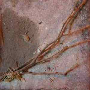 Boreal - The Battle Of VOSAD FLAC album