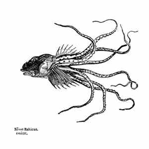 Emiter - Sinus Balticus FLAC album