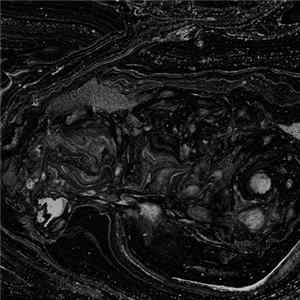 BiS - Are You Ready? FLAC album