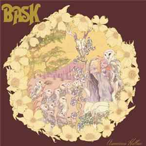Bask - American Hollow FLAC album