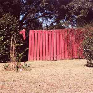 Celer - When You Fall Out Of Love With Me FLAC album