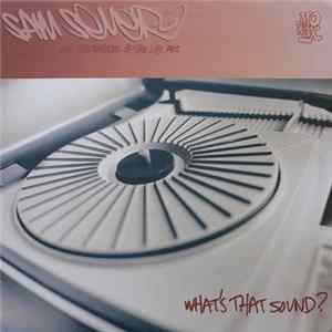 Sam Sever And The Raiders Of The Lost Art - What's That Sound? FLAC album
